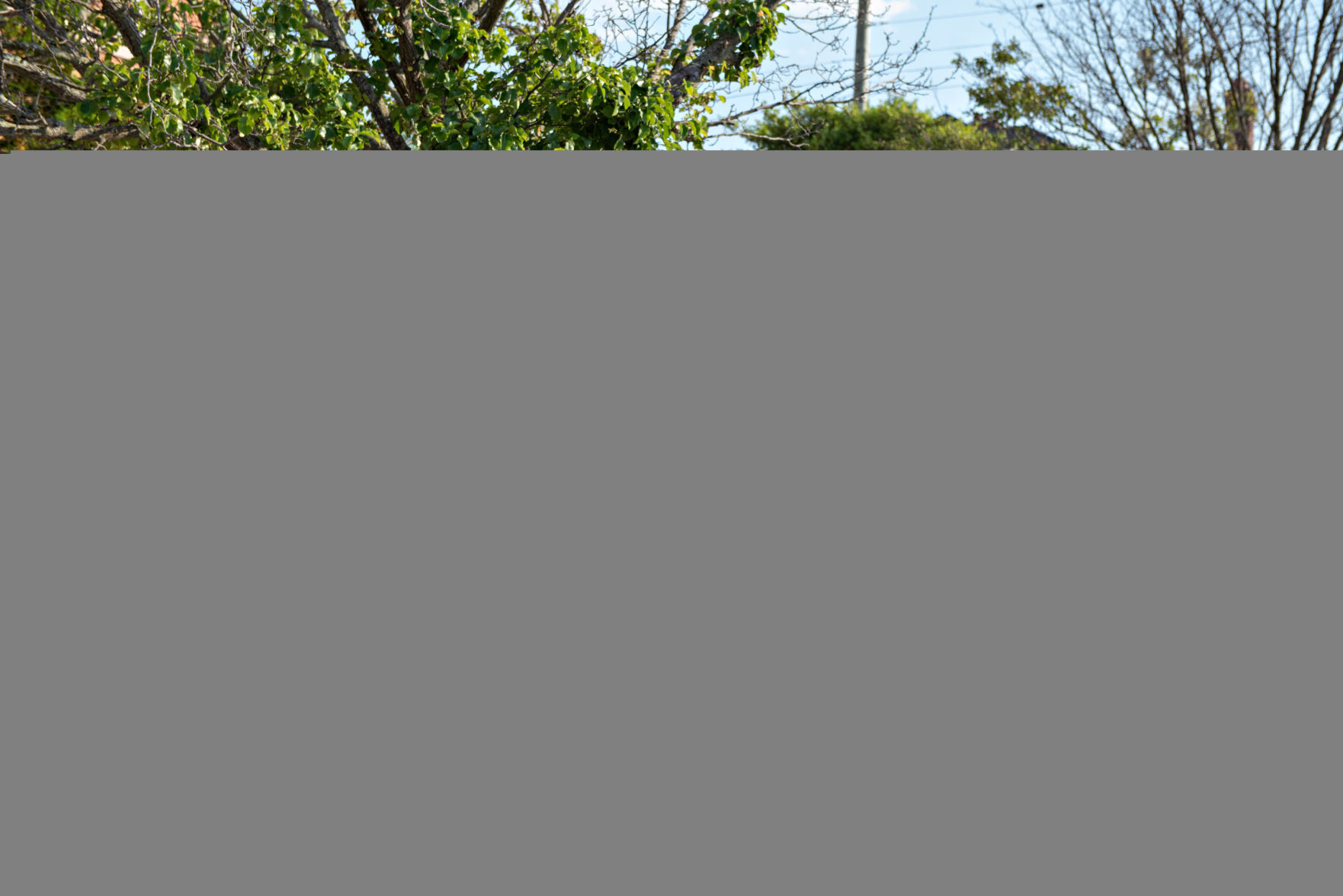 060420_nws_wildwoodcatholicgrad